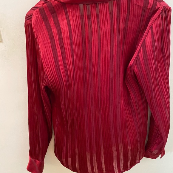Crimson Blouse - Picture 4 of 5